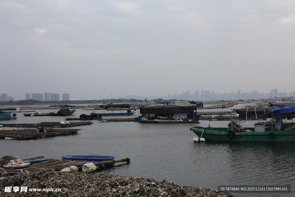 港口停泊船只景象