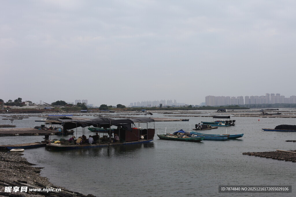宁静水边停泊的船只景观