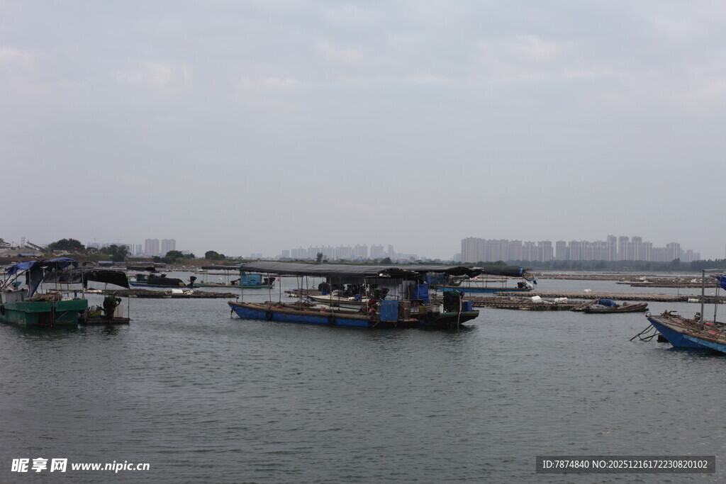 港口停泊的船只景象