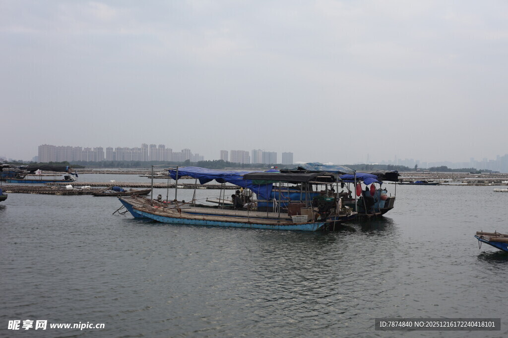 港口停泊的船只