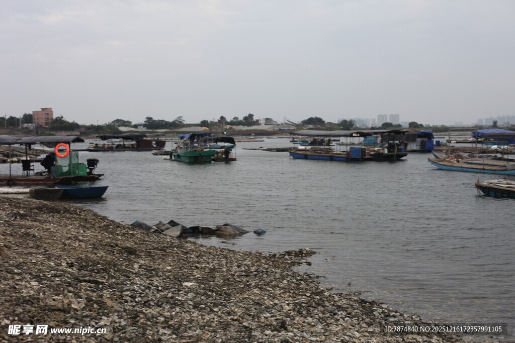 岸边停泊的多艘船只