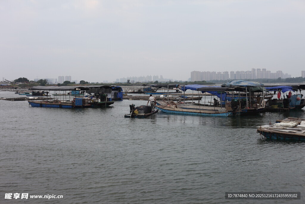 港口停泊的众多船只