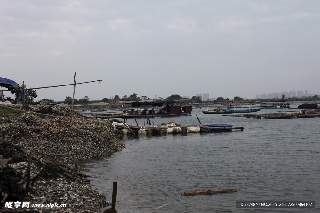 岸边停泊船只的水域景象