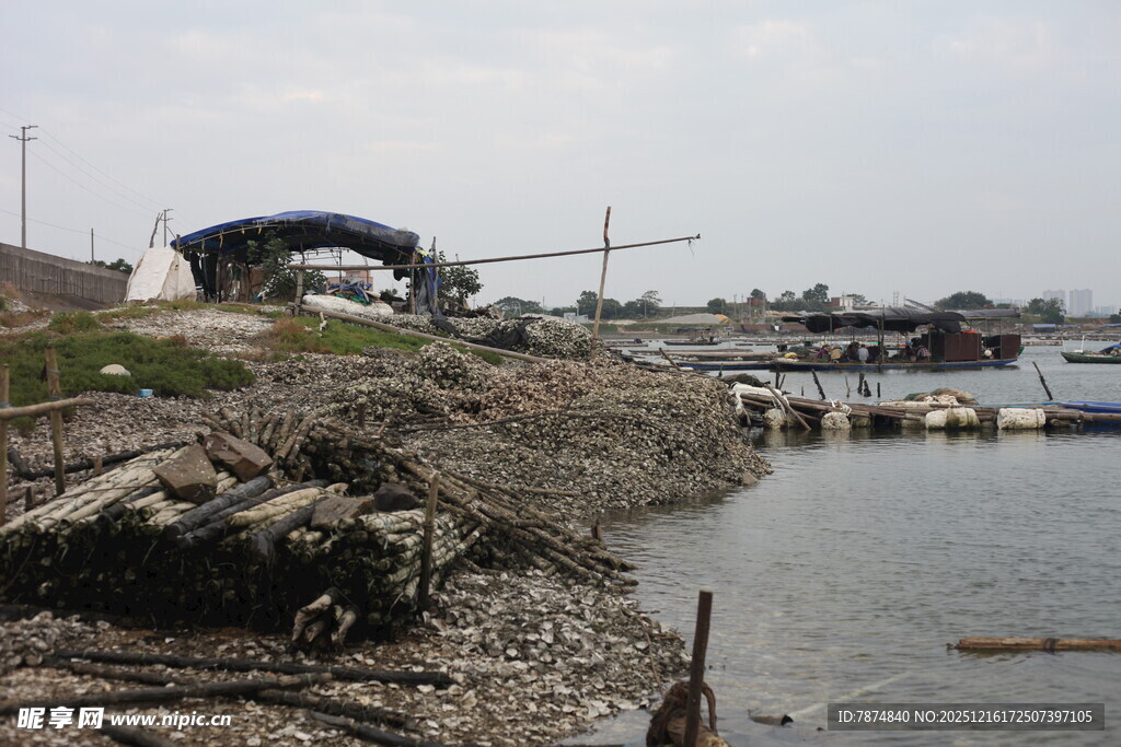 岸边停泊船只的水域景象