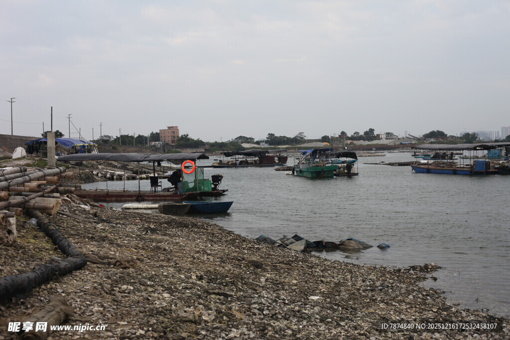 岸边停泊的多彩船只