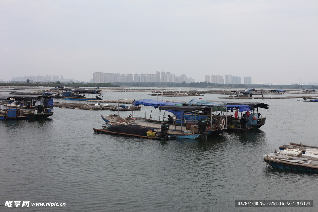 海港停泊的多艘船只