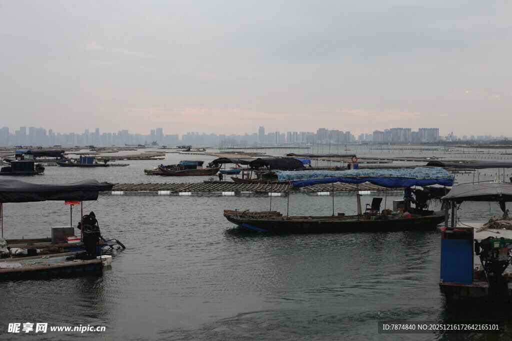 水上船只停泊景象