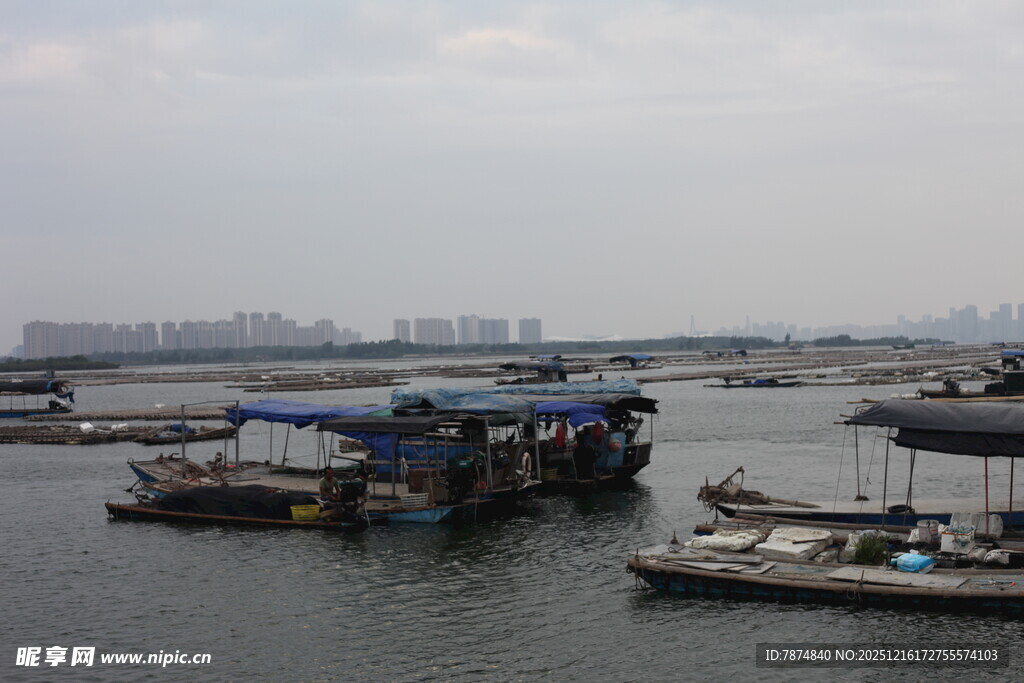 水上停泊的多艘船只