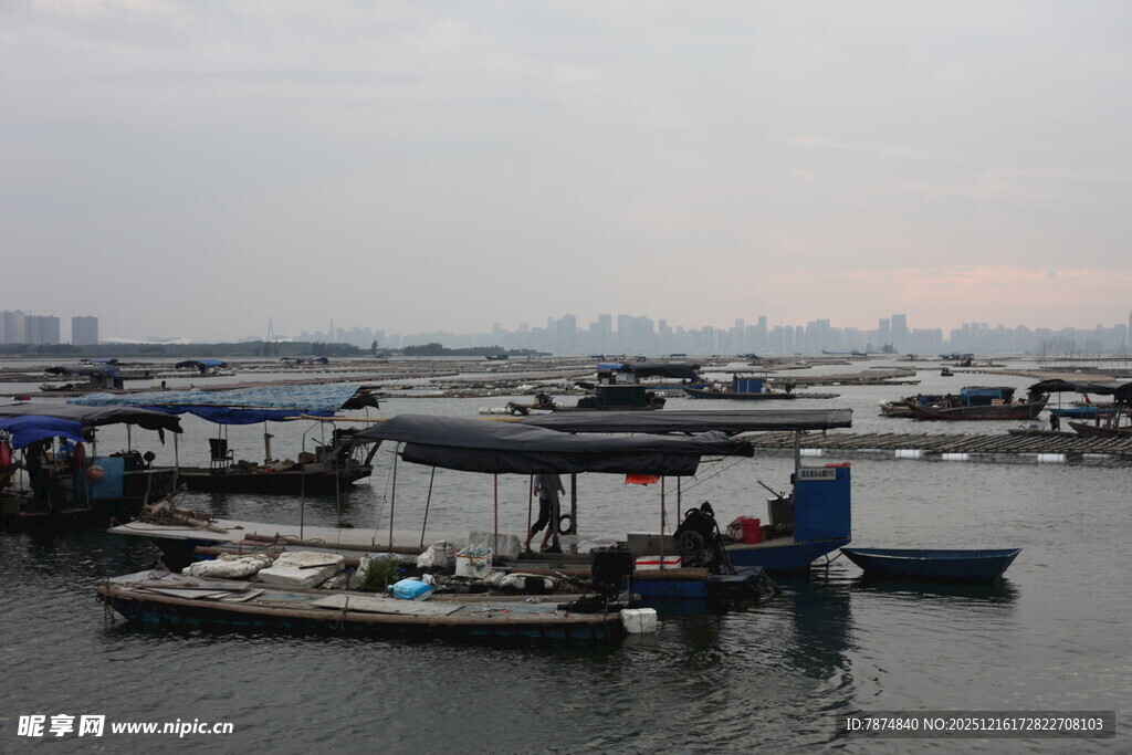 港口码头停泊的船只景象