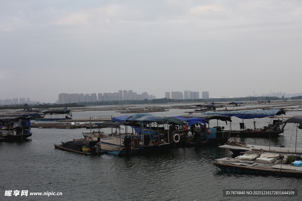 港口码头船只停泊景象