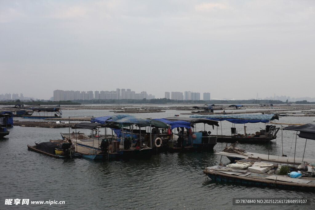 宁静码头停泊多艘船只