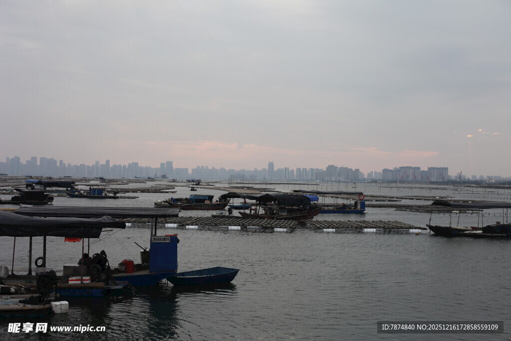 海边码头停泊船只景象