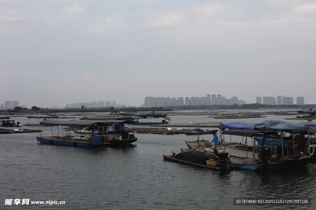 水上停泊的众多船只