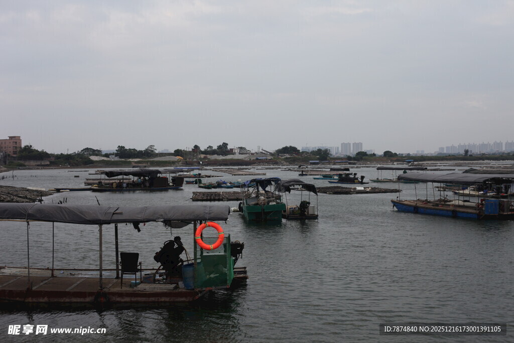 港口停泊的船只景象