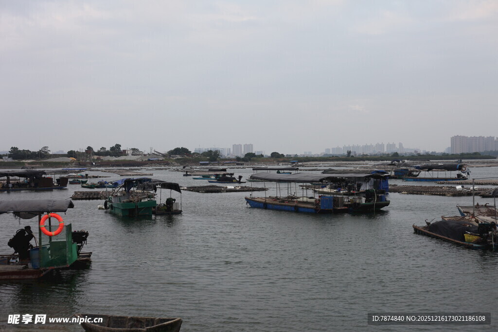 港口停泊的多艘船只