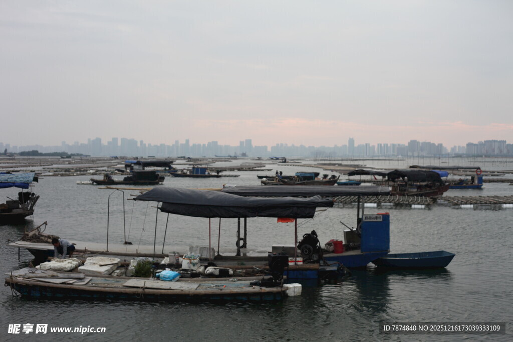 港口停泊的多艘船只