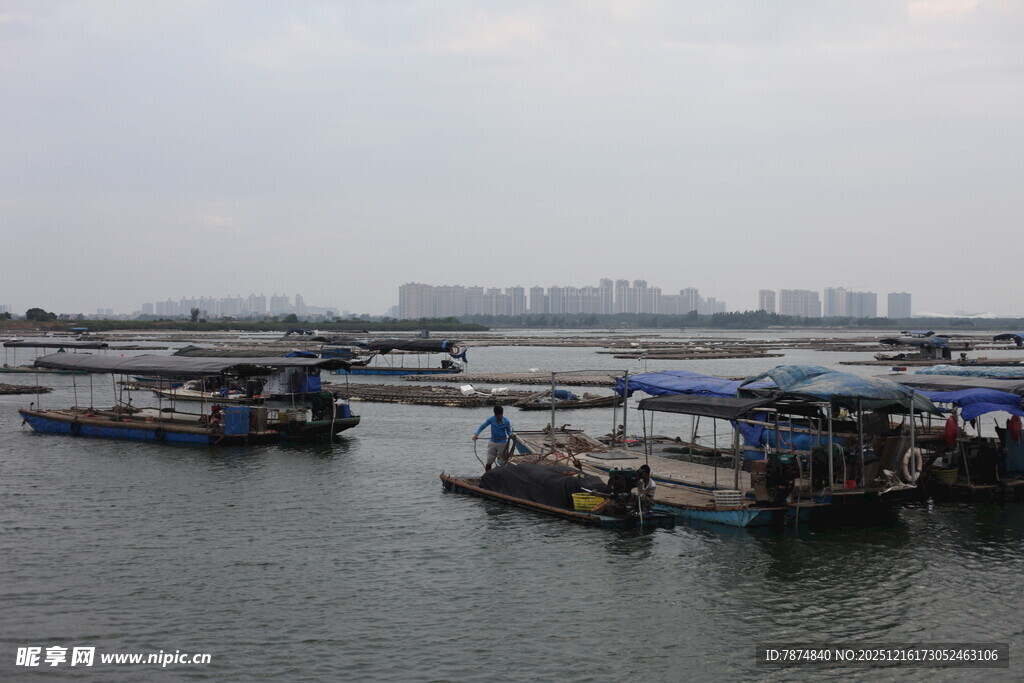 水上停泊的船只景观