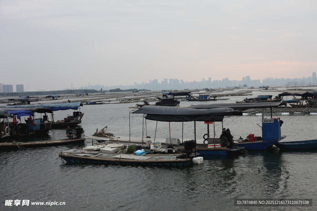 港口停泊的多艘船只