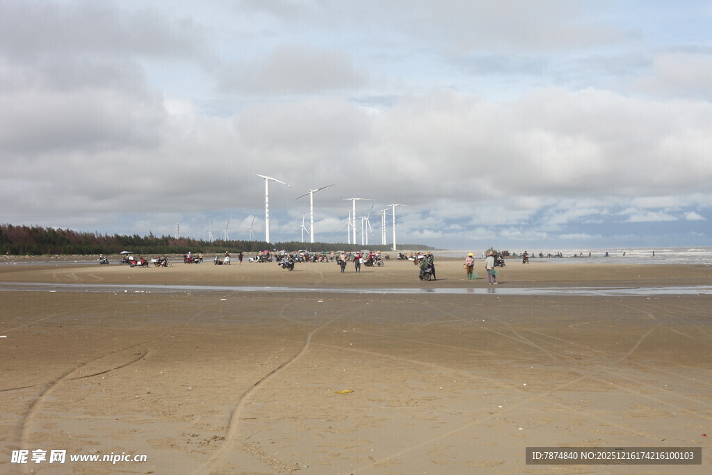 海边沙滩上的悠闲漫步场景
