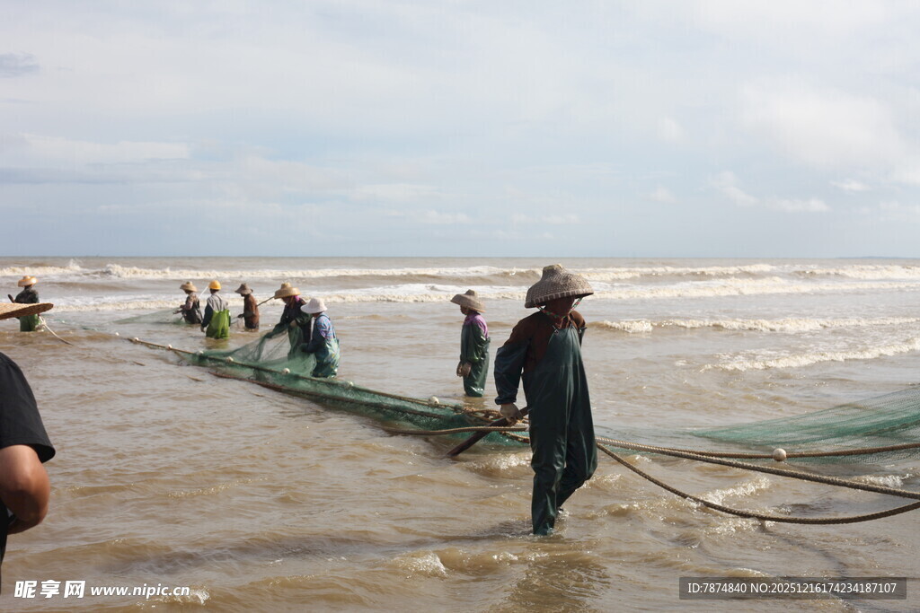 海边渔民协作拉网捕鱼