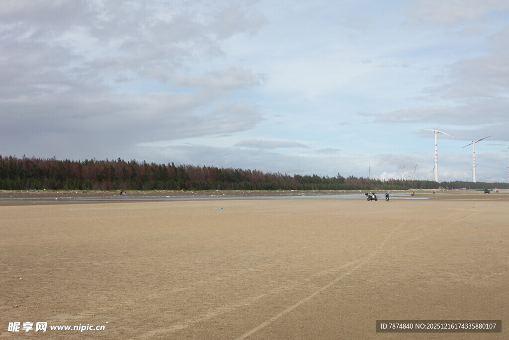 空旷沙滩与远处树林景观