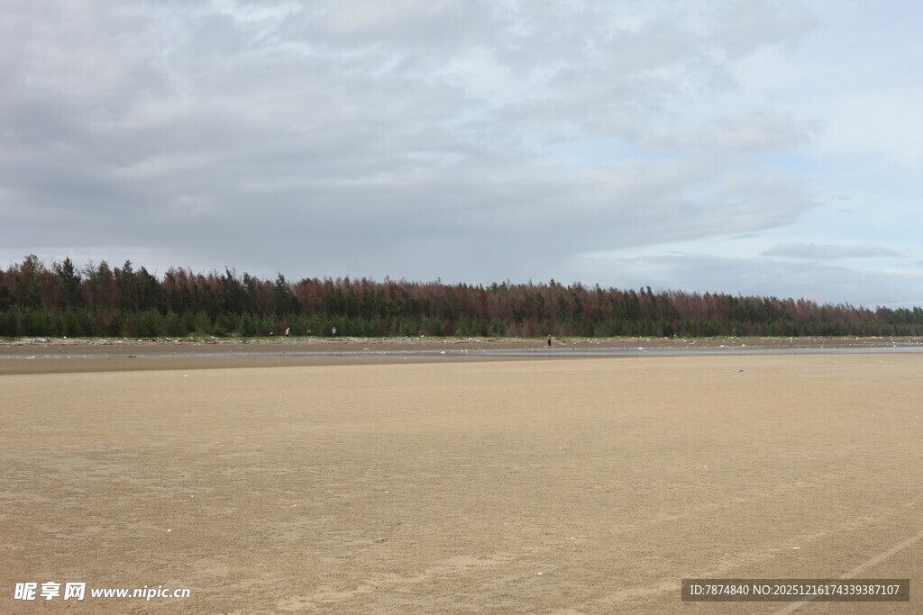 空旷沙地与远处树林景观