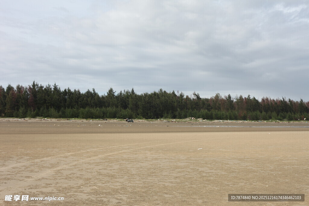空旷沙地与远处林木景观