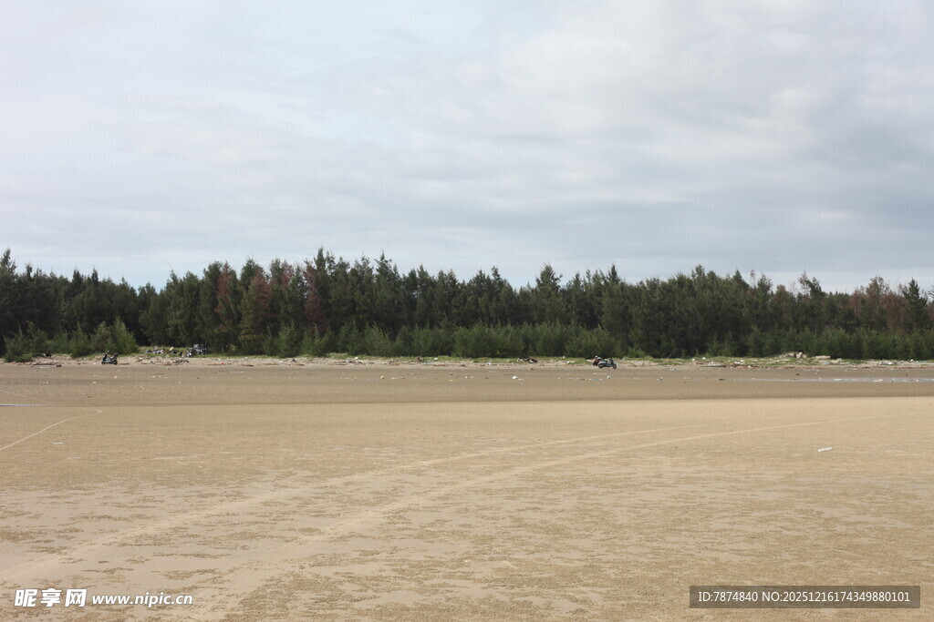 空旷沙地与远处树林景观