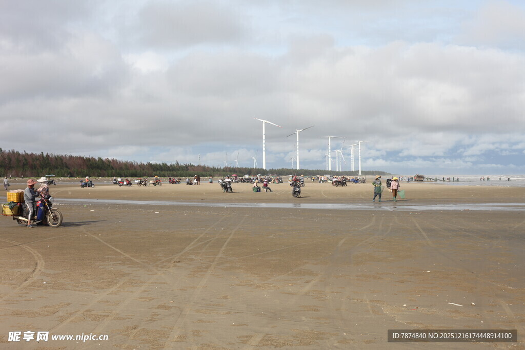 海滩上的人群与远处风车