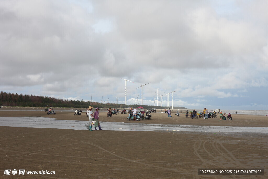 海滩上的人群与广阔海景