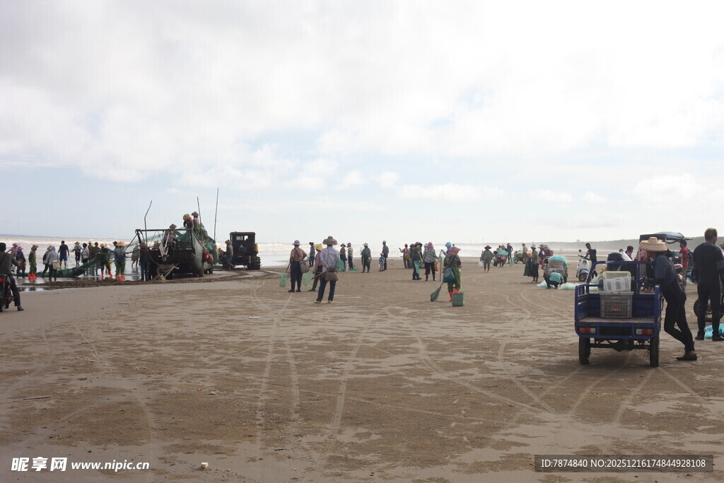 沙滩上的人群与活动场景