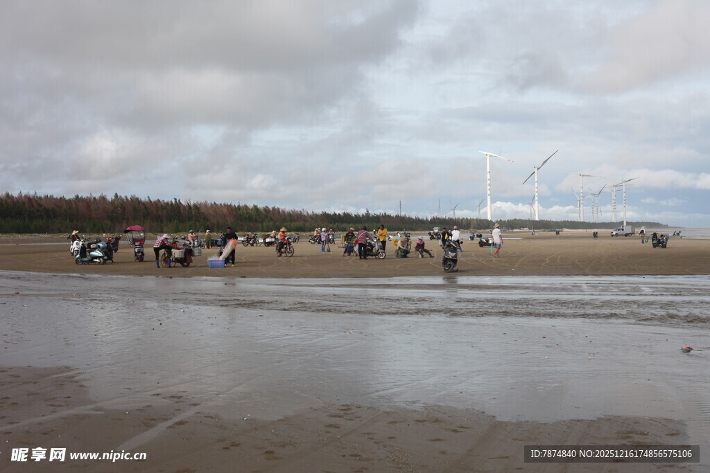 海滩上的人群活动场景