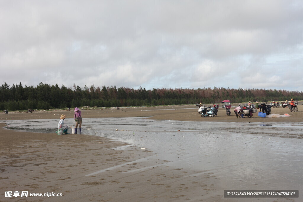 海滩上的人群与自然风光