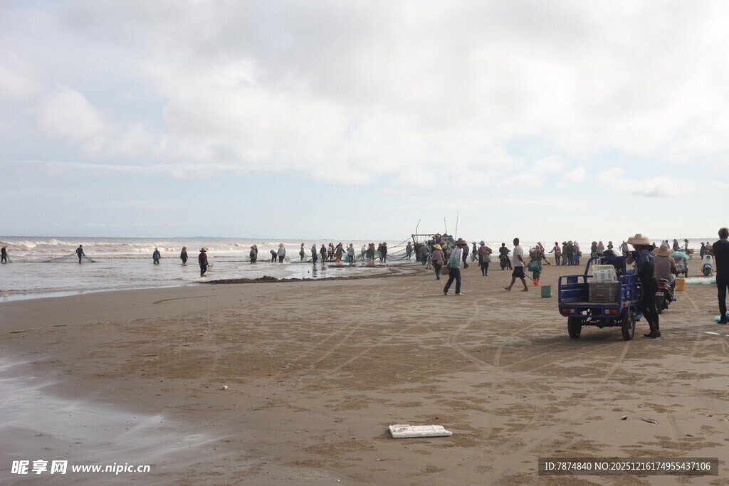 热闹海滩上的人群活动