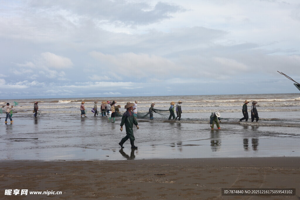 海滩上的人群与飞翔海鸟
