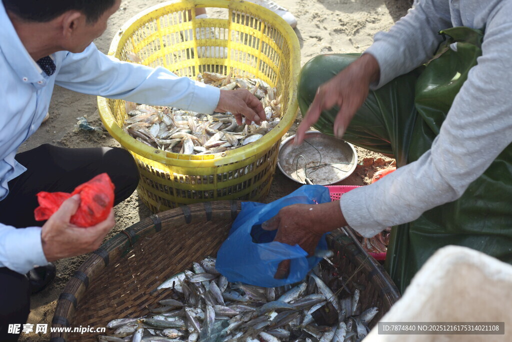 渔民分拣捕获的多样海鱼