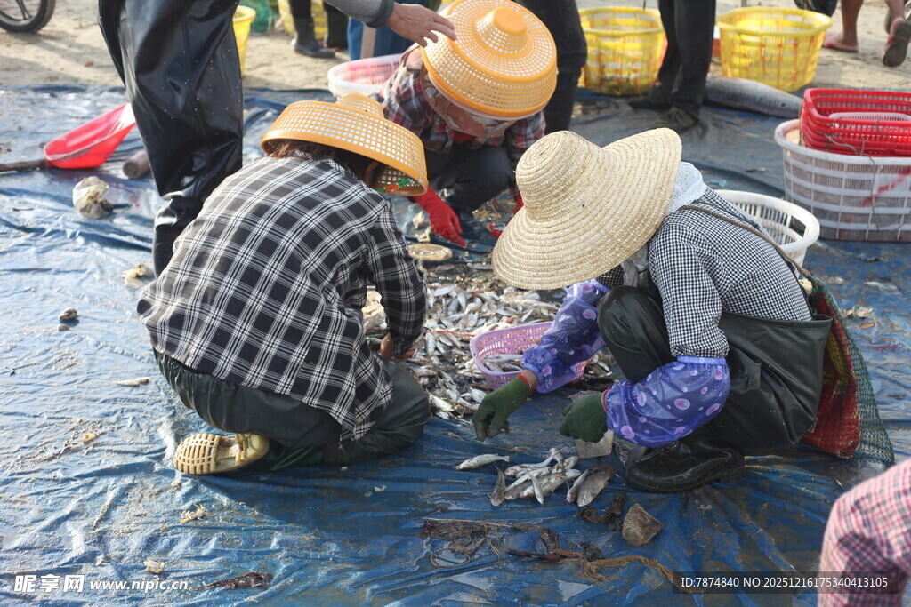 渔民集市上专注挑选海鲜