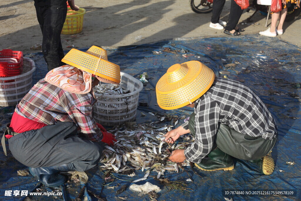 渔民集市上分拣海鲜