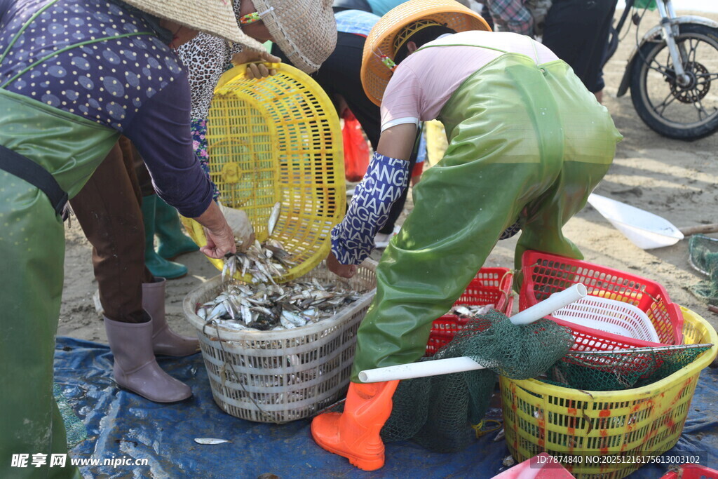 渔民分拣海鲜现场