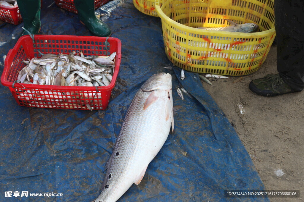 市场售卖的鲜鱼及小鱼