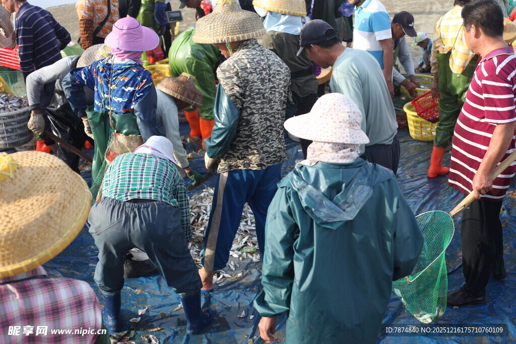 渔民集市交易热闹场景