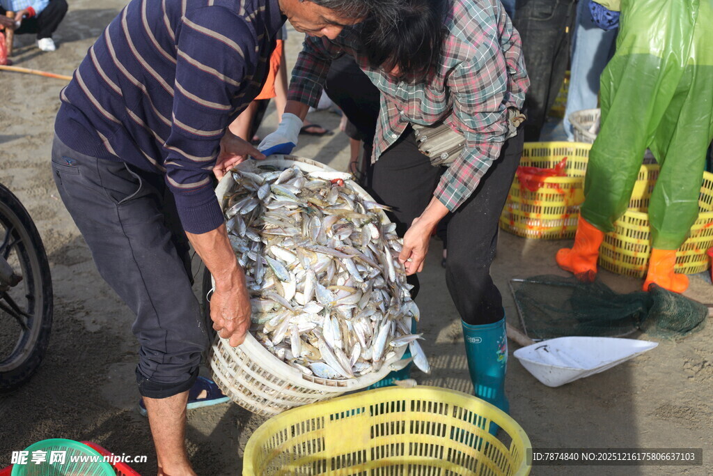 渔民整理捕获的海鲜