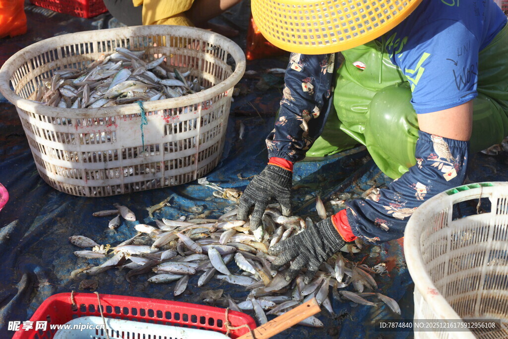 海鲜市场现场分拣鱼虾