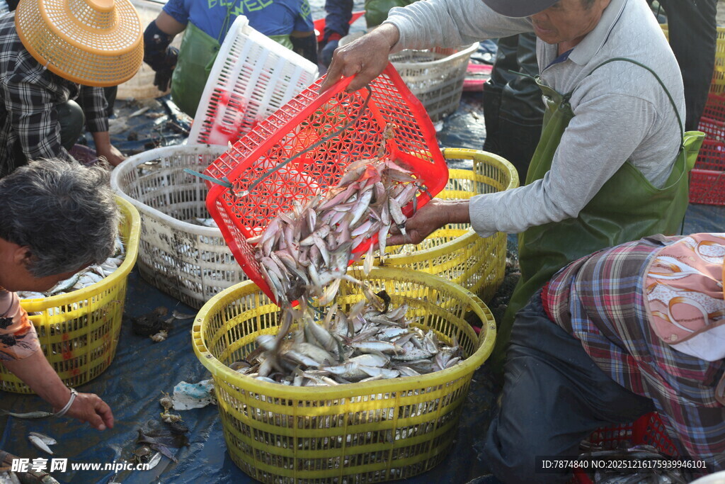渔民集市售卖鲜活小鱼