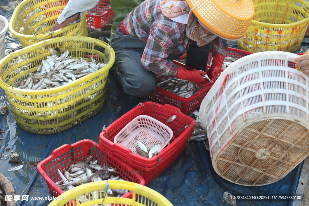 渔民集市售卖新鲜海鱼