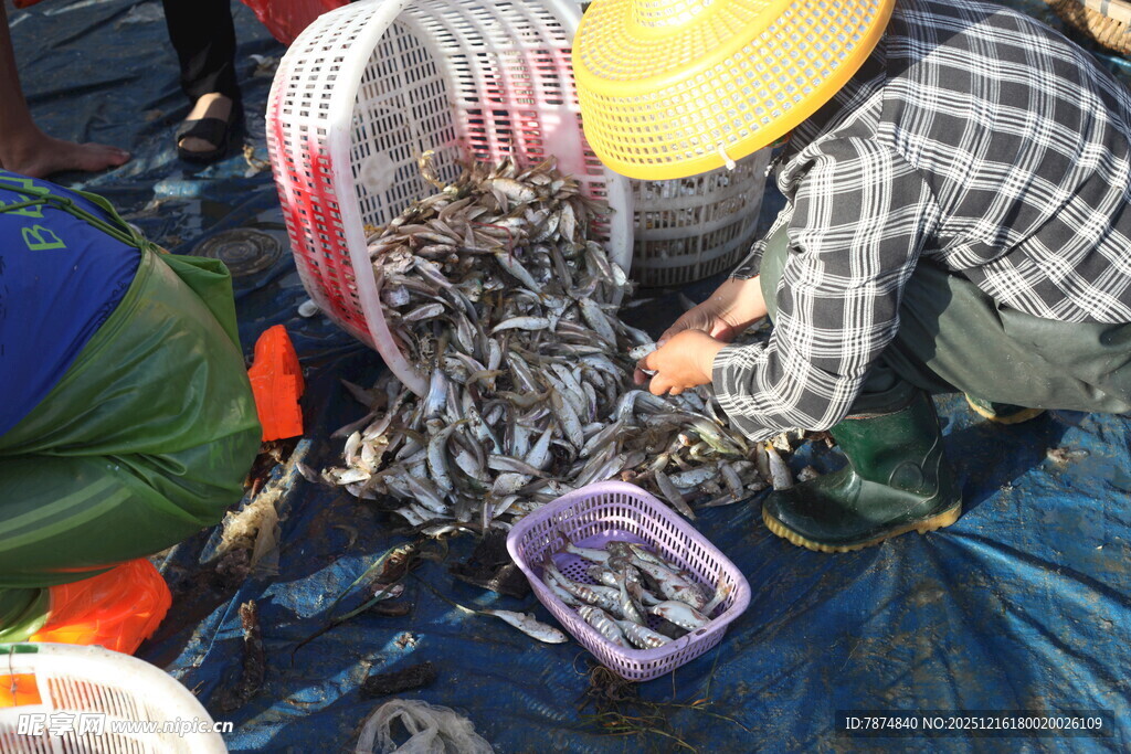 渔民收获满满一筐海鲜