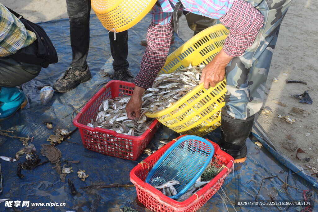 渔民分拣收获的新鲜海鱼
