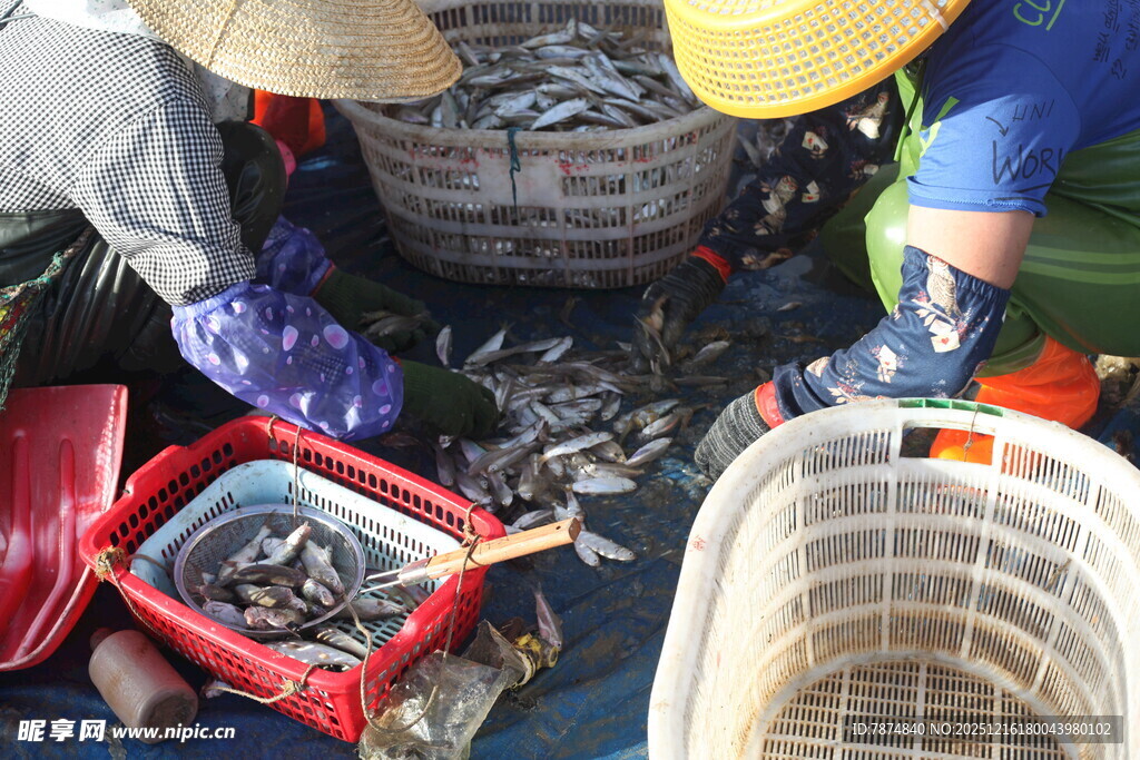 渔民分拣捕获的鱼虾