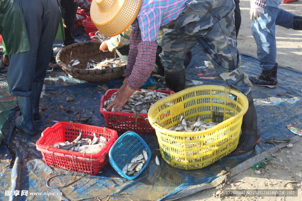 渔民分拣收获的海鲜