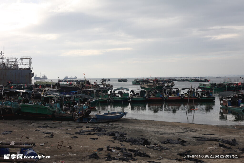 宁静渔港景象